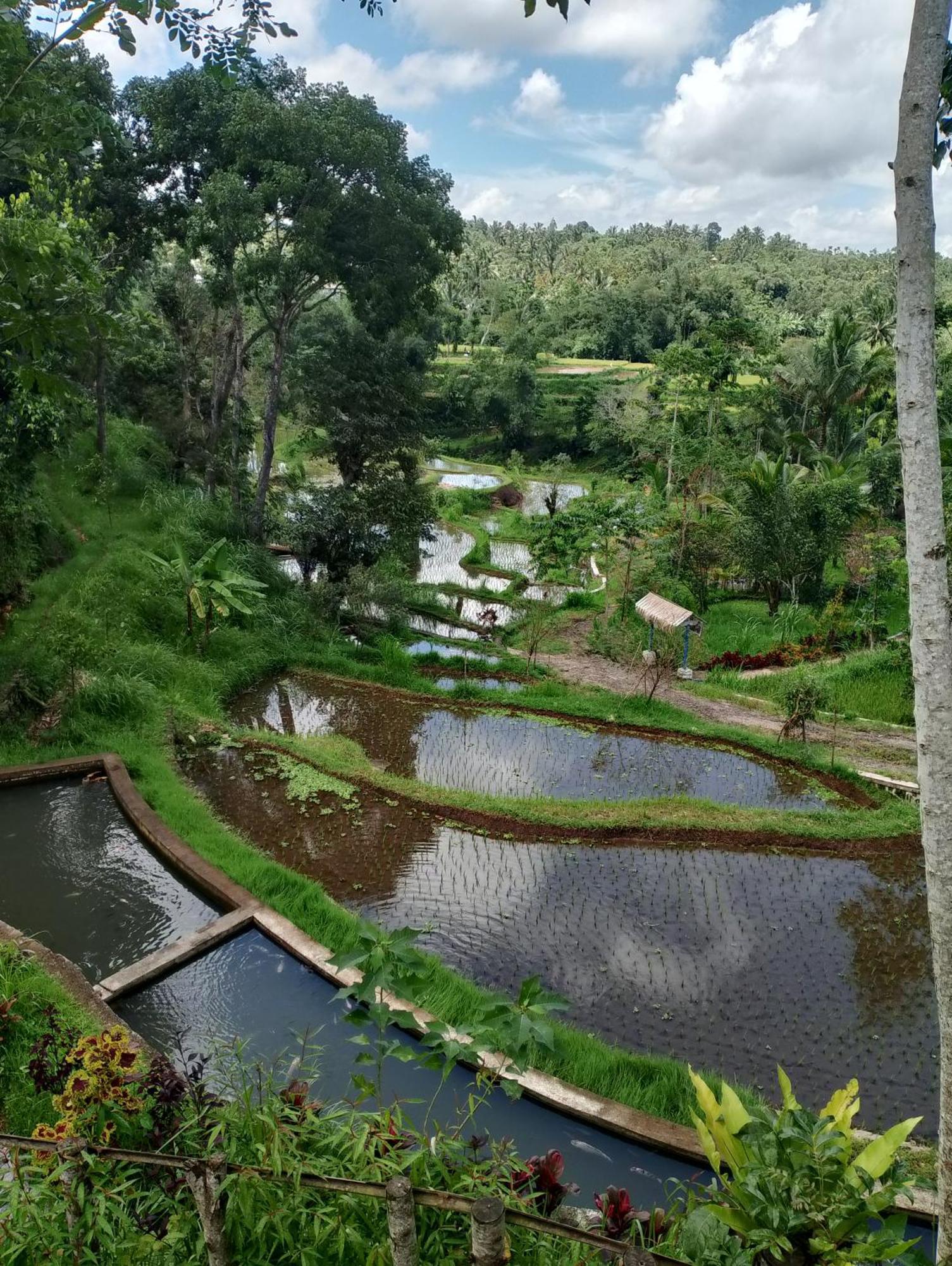 The Alam Tetebatu Bungalow & Restaurant Dış mekan fotoğraf