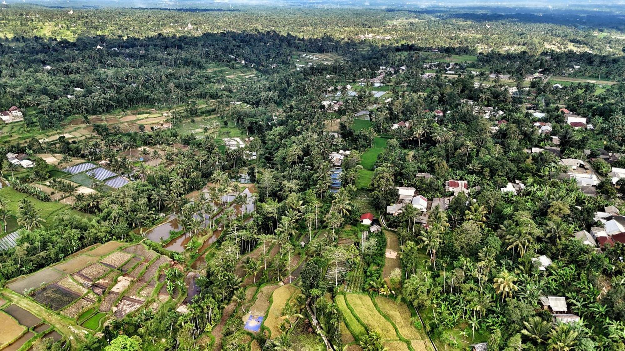 The Alam Tetebatu Bungalow & Restaurant Dış mekan fotoğraf
